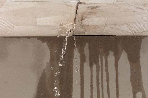 Professional Water Damage Inspection technician working in Pearsall, TX
